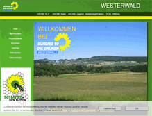 Tablet Screenshot of gruene-ww.de